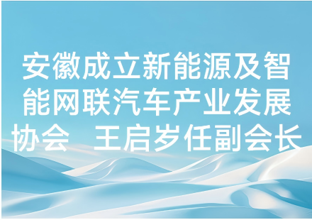 安徽成立新能源及智能网联汽车产业发展协会  王启岁任副会长
